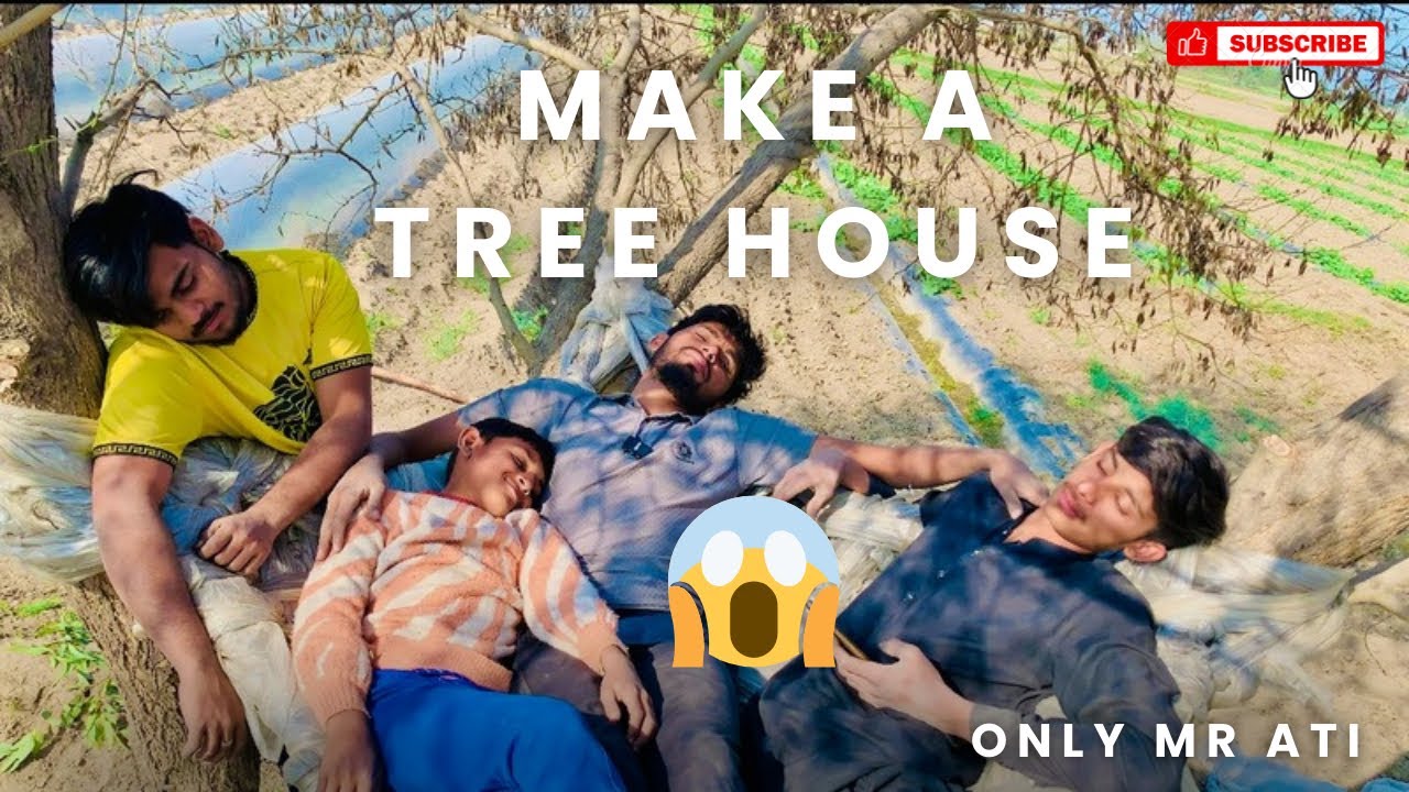 Make a house on a tree. Beautiful view