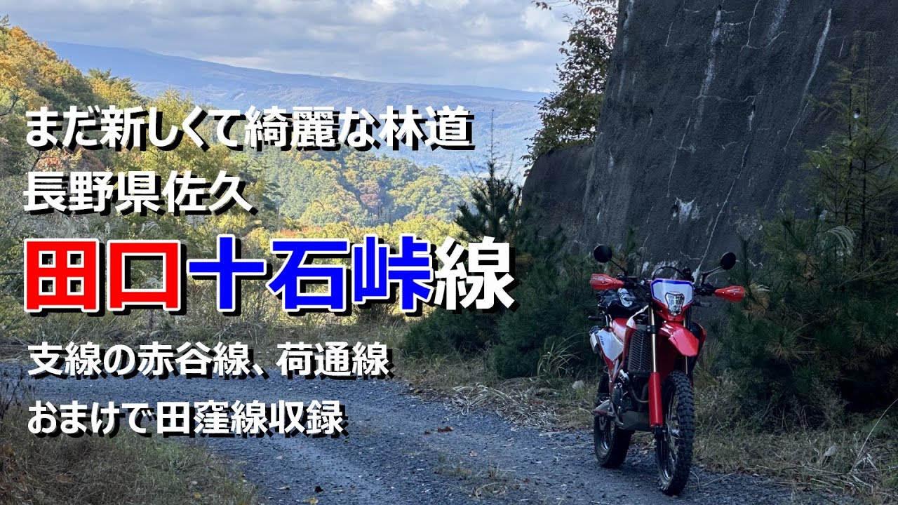 【CRF250L】長野県佐久の林道田口十石峠線【まだ新しくて走りやすいロングダート】