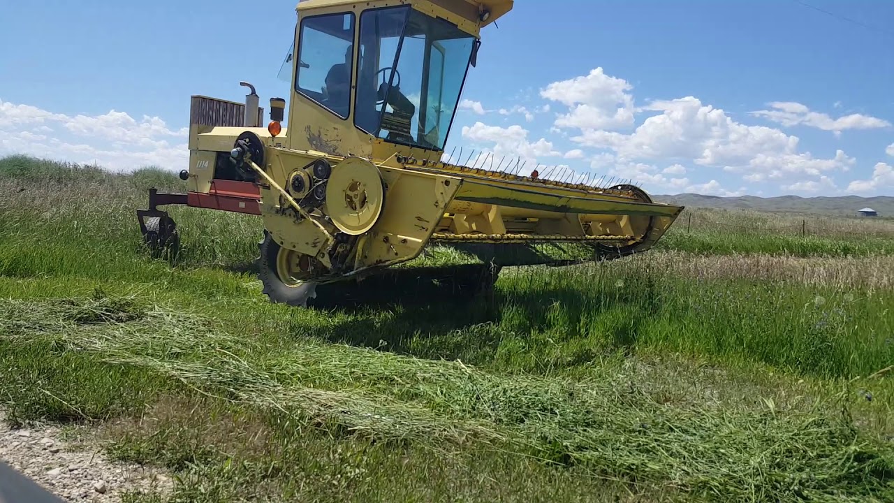 Cutting grass with a swather to bail up for feed.