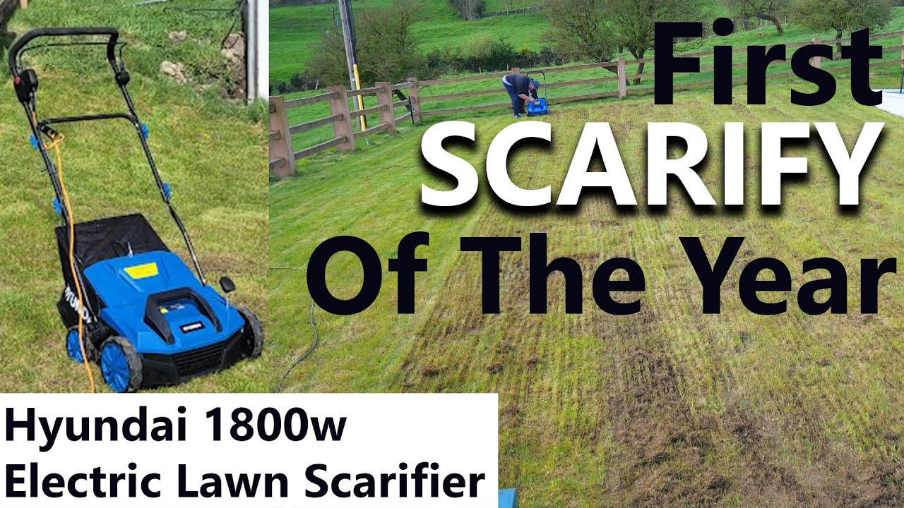 Scarifying Lawn for the first time with Hyundai 1800w Electric Lawn Scarifier