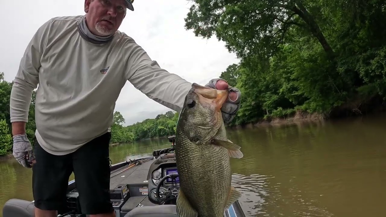 Bass fishing on the Roanoke River in North Carolina