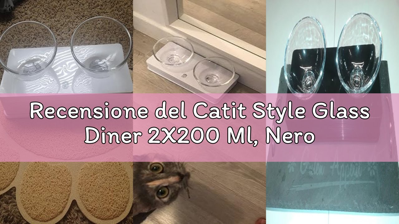 Recensione del Catit Style Glass Diner 2X200 Ml, Nero