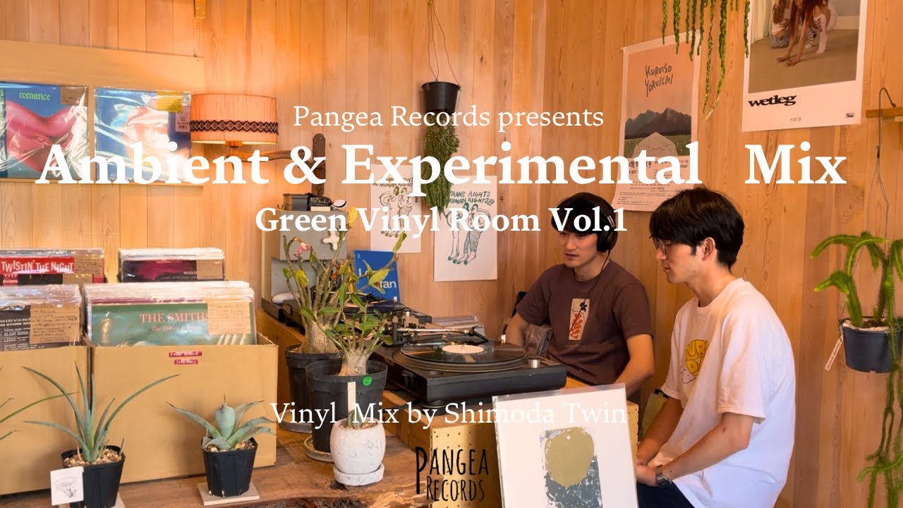 Ambient & Experimental Mix 【"Green Vinyl Room"Vol.1 -Vinyl Mix by Twin-】