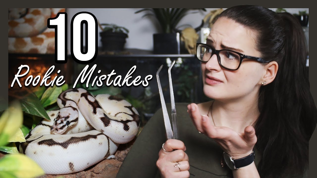 TOP 10 ROOKIE MISTAKES (Snake owners)