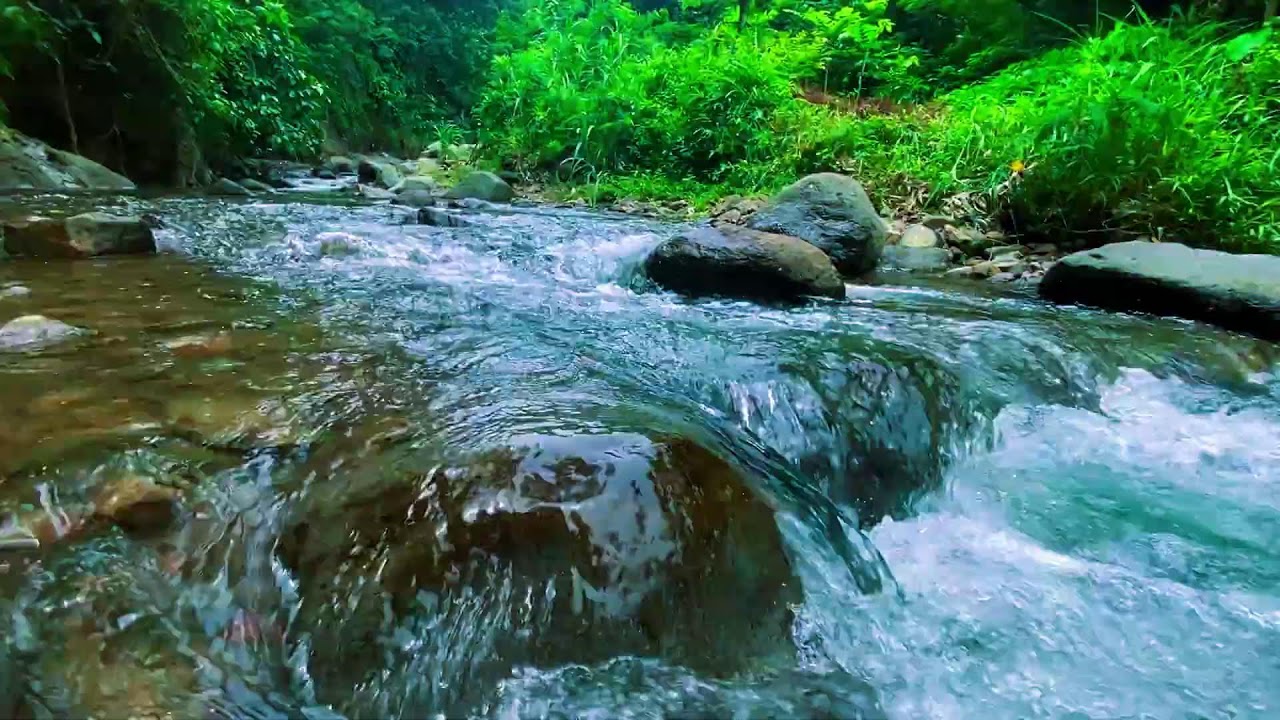 НЕ ВКЛЮЧАЙ, ЕСЛИ НЕ ХОЧЕШЬ УСНУТЬ 🌿 Ледяной поток в тропическом лесу