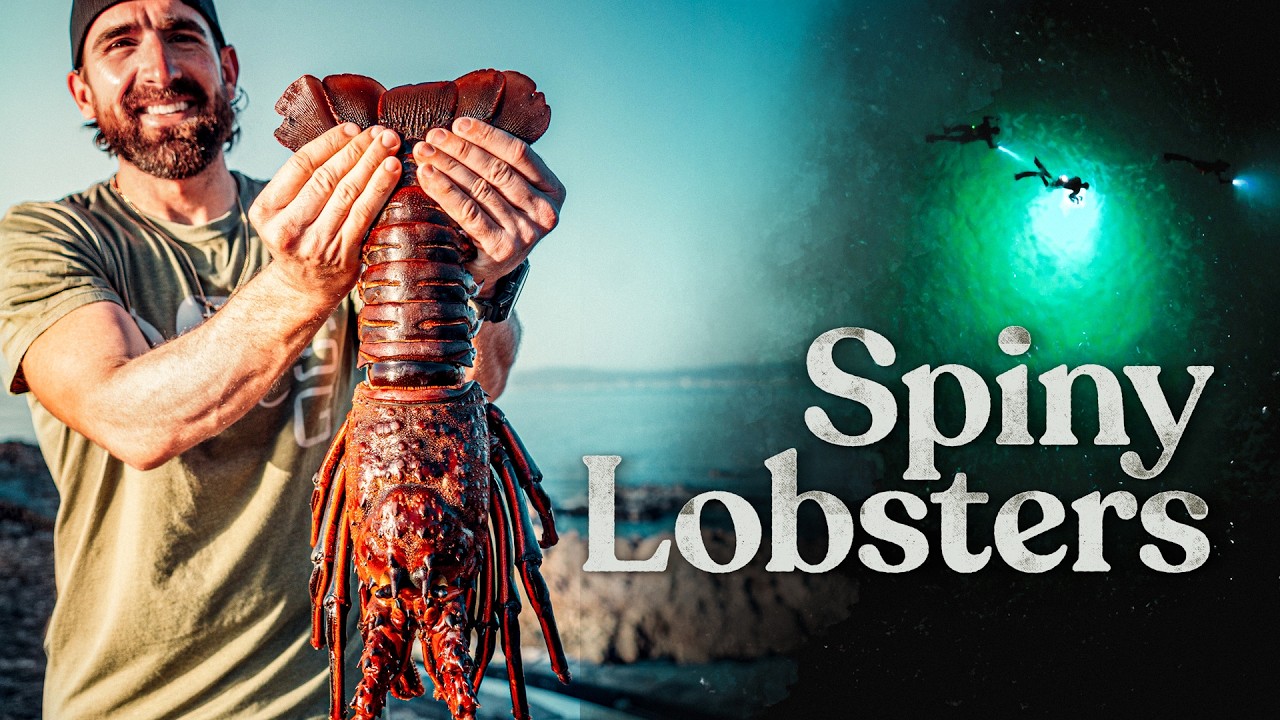 Catching Lobsters with our Bare Hands!