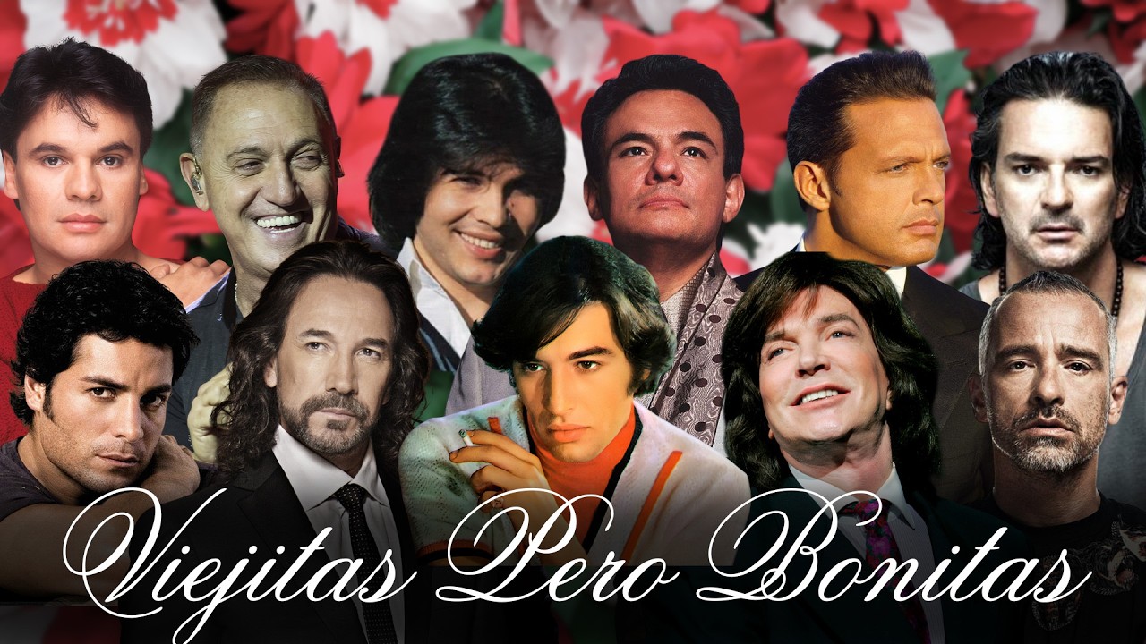 Grandes Éxitos: Camilo Sesto, Leo Dan, Luis Miguel, Chayanne, Julio Iglesias, Chayanne y más
