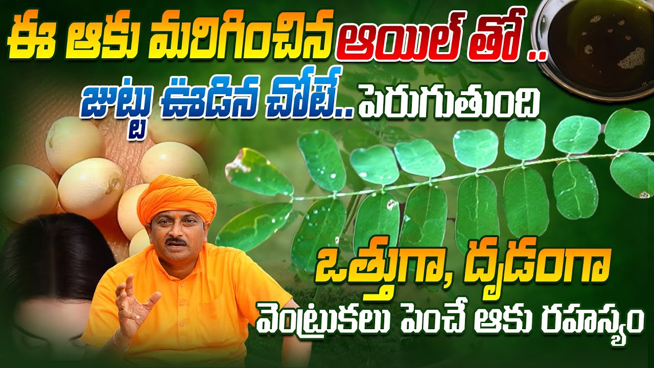 ఈ ఆయిల్ తో జుట్టు ఊడిన చోటే పెరుగుతుంది దృడంగా వెంట్రుకలు పెంచే ఆకు | Dr. Ravivarma |