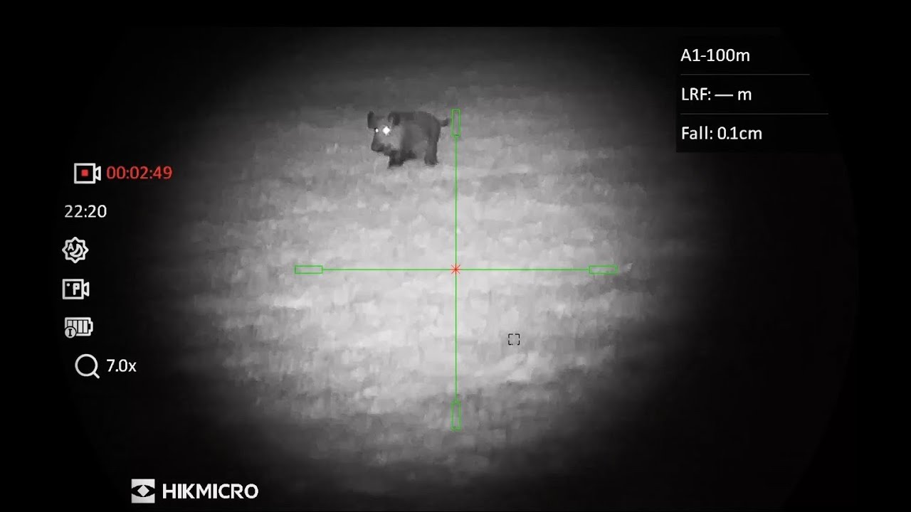 HIKMICRO Alpex LRF 4k | wild boar | 180m | 100m