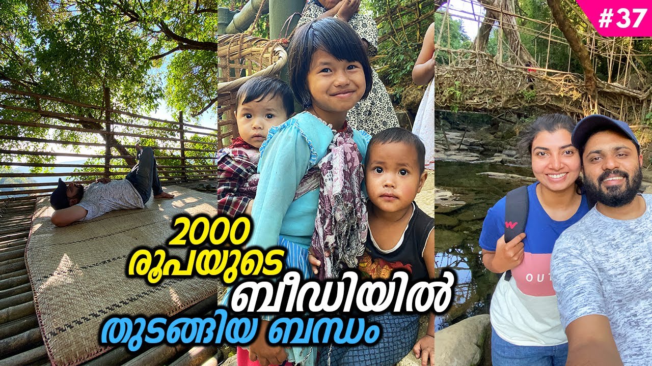 NE37 വ്യൂ പോയിന്റിൽ പായ വിരിച്ചുമയക്കം | Bio Engineering Wonder | Mawlynnong | Root Bridge | Nohwet