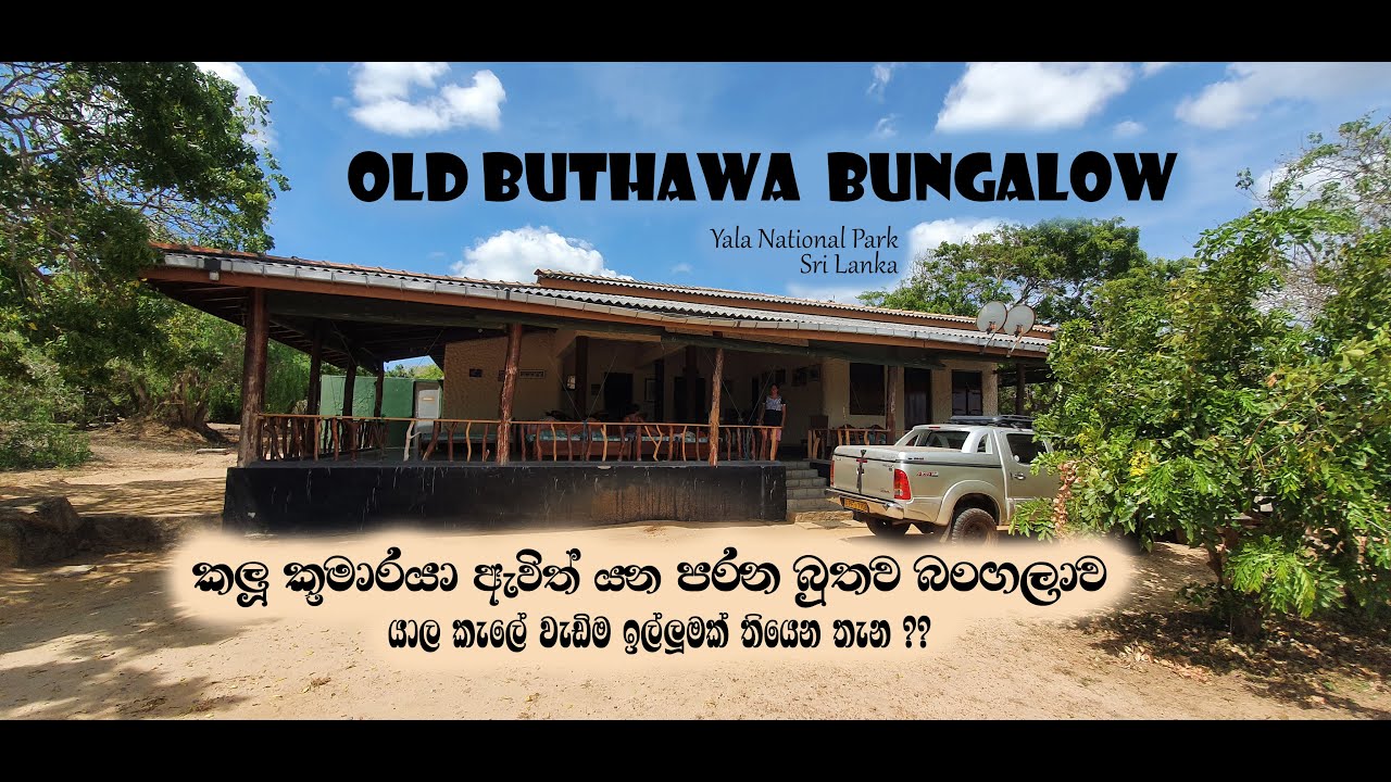 පරන බුතව බංගලාව | Old Buthawa Circuit Bungalow | Review | Yala National Park | Sri Lanka