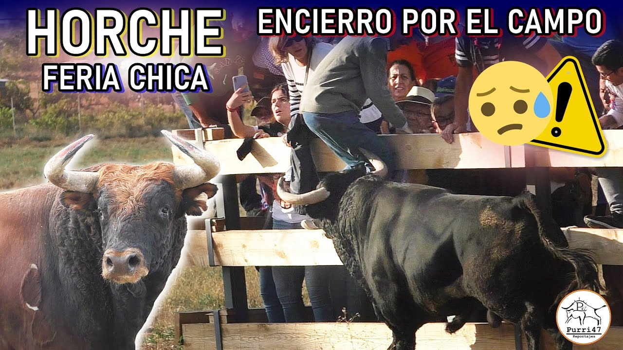 👀🚨PELIGRO EN LAS TALANQUERAS!! ENCIERRO POR EL CAMPO😱HORCHE💥 FERIA CHICA