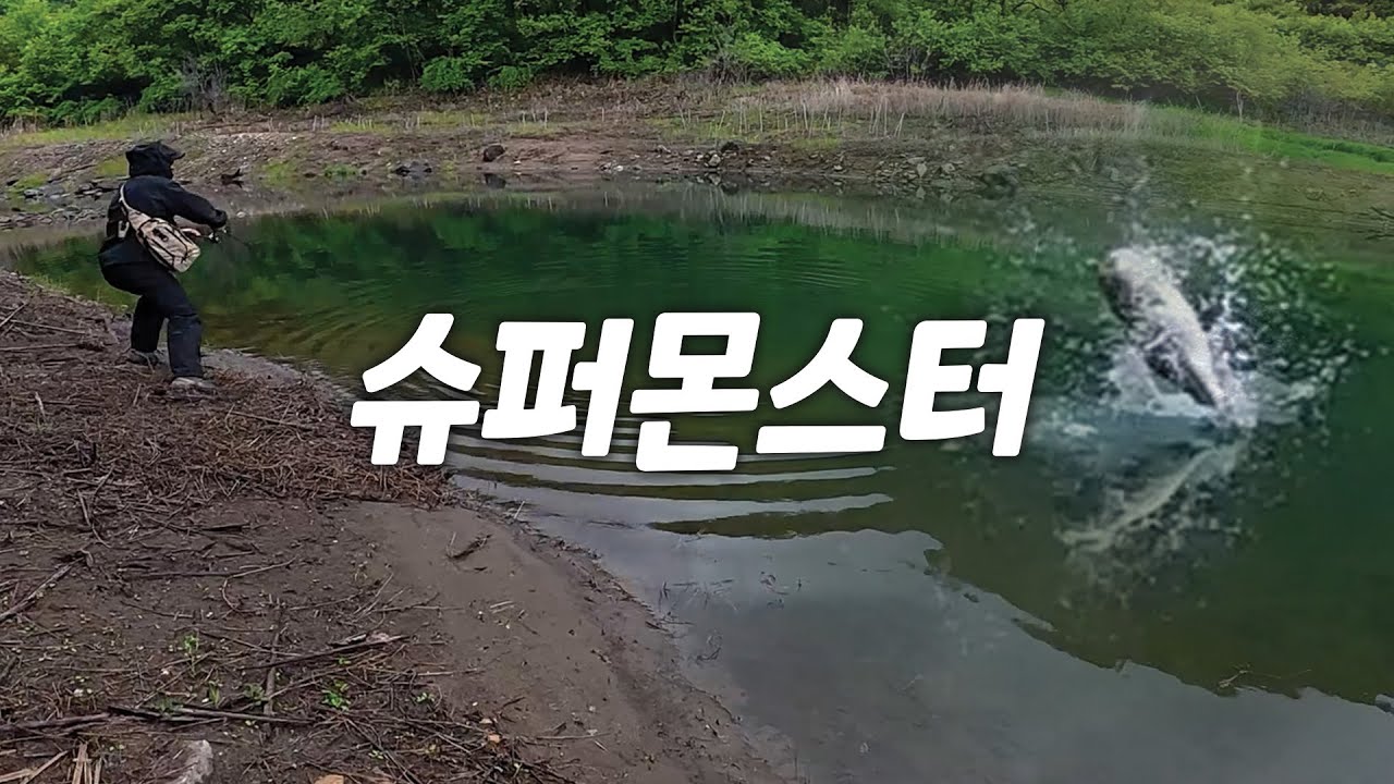 비와호 같은 괴물이 사는곳 렛츠고 강원도!!  [강타모 ep.02]