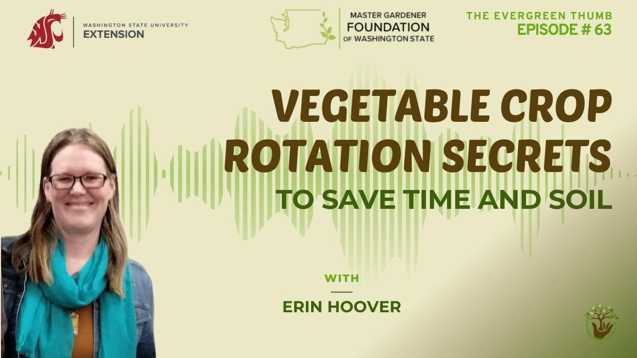 Vegetable Crop Rotation Secrets to Save Time and Soil