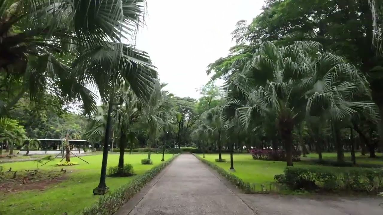 Jakarta Morning Walk – Hutan Kota GBK Urban Park | POV Walking Tour