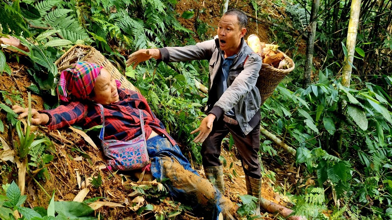 Harvesting bamboo shoots in the forest: an unexpected event and its consequences.