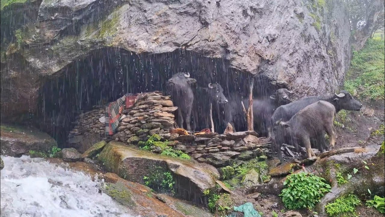 This IS Best Himalayan Village Life During the Heavy Rain || Rural Documentary Video with Nature ||