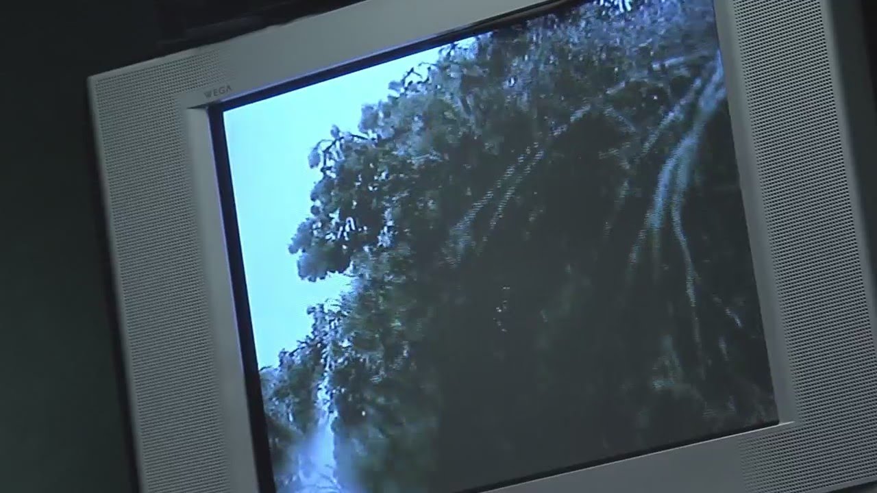 Looking back on the ice storm of 1998 25 years later