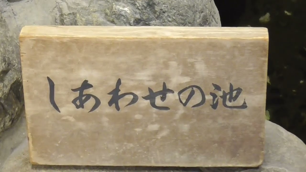 【伊東園ホテル熱川】初宿泊！熱川温泉郷の離れ？　2024.9月