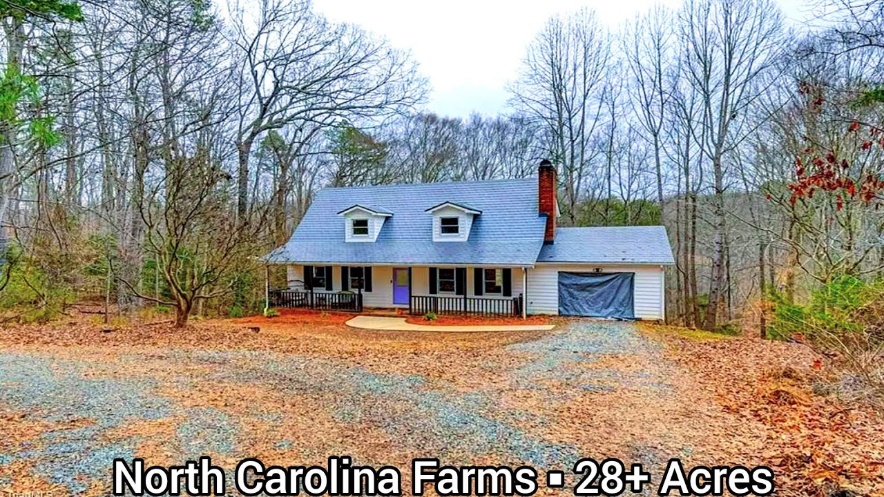 North Carolina Farms For Sale | 28+Acres | North Carolina Land For Sale | Pinnacle Serene Acres