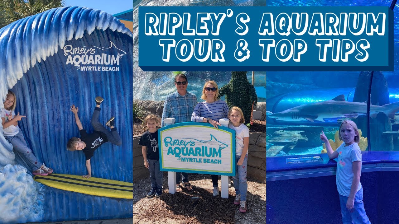 Ripley's Aquarium of Myrtle Beach Tour & Top Tips