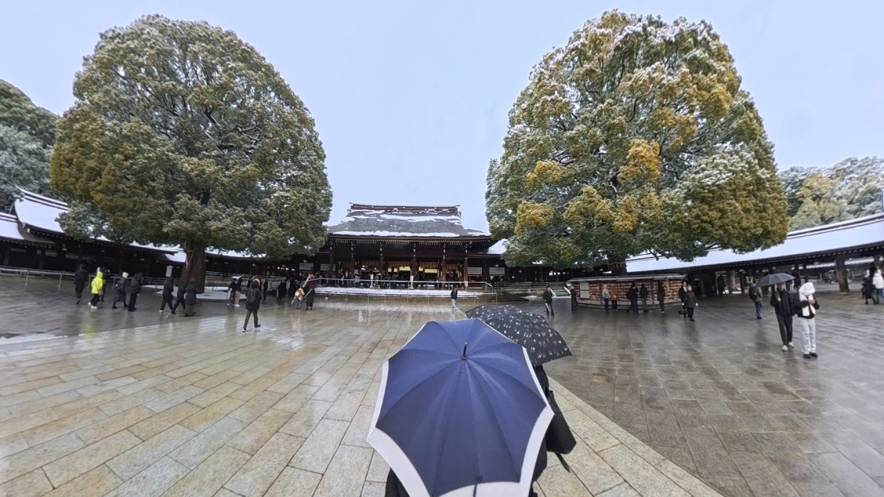 Snowy Meiji Jingu Shrine: Rare Tokyo Winter Magic ❄️⛩️ February 8, 2026