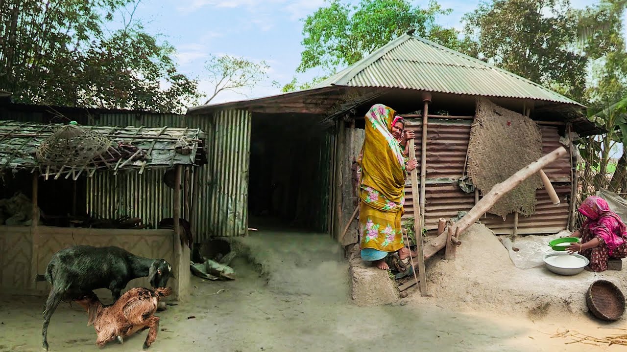 তাড়াশের কৃষিপ্রধান গ্রাম কলামুলা || Panorama Documentary