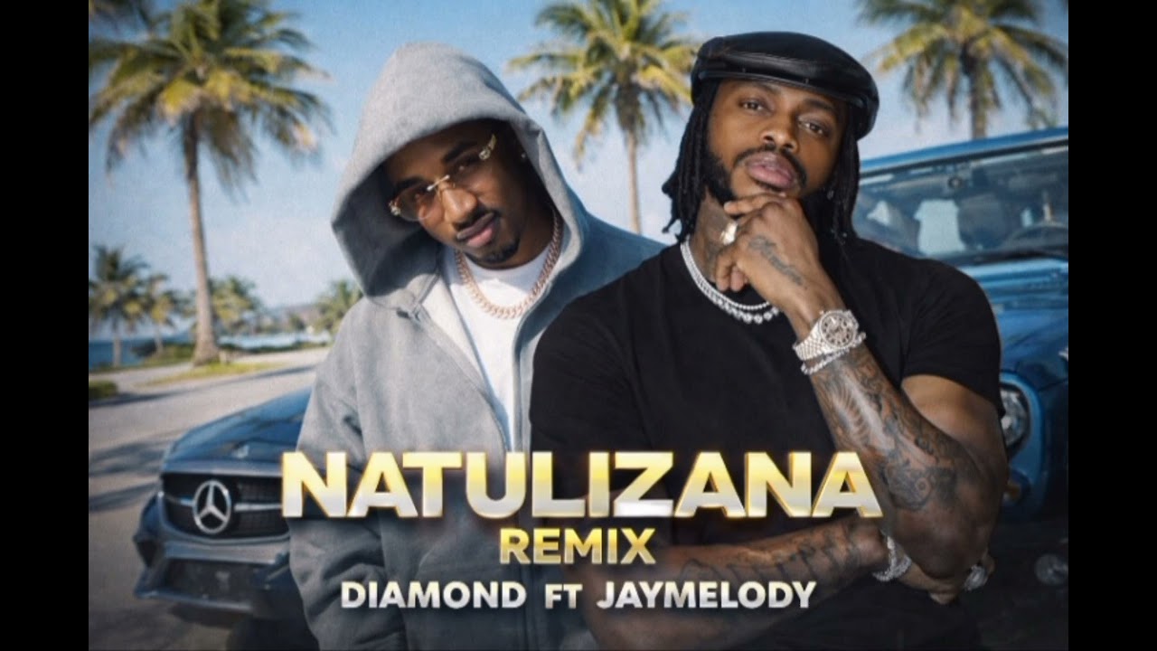 Diamond Platnumz FT  JayMelody Natulizana Remix