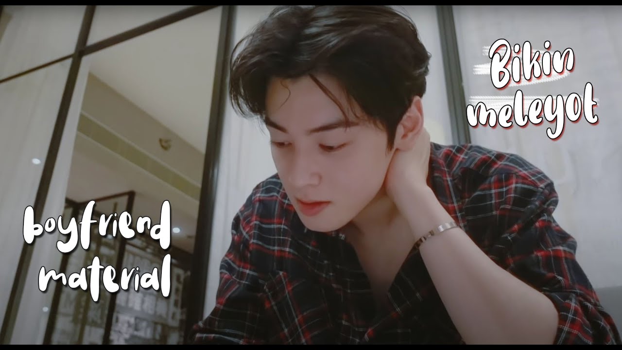 Cha Eun Woo Boyfriend Material 😍