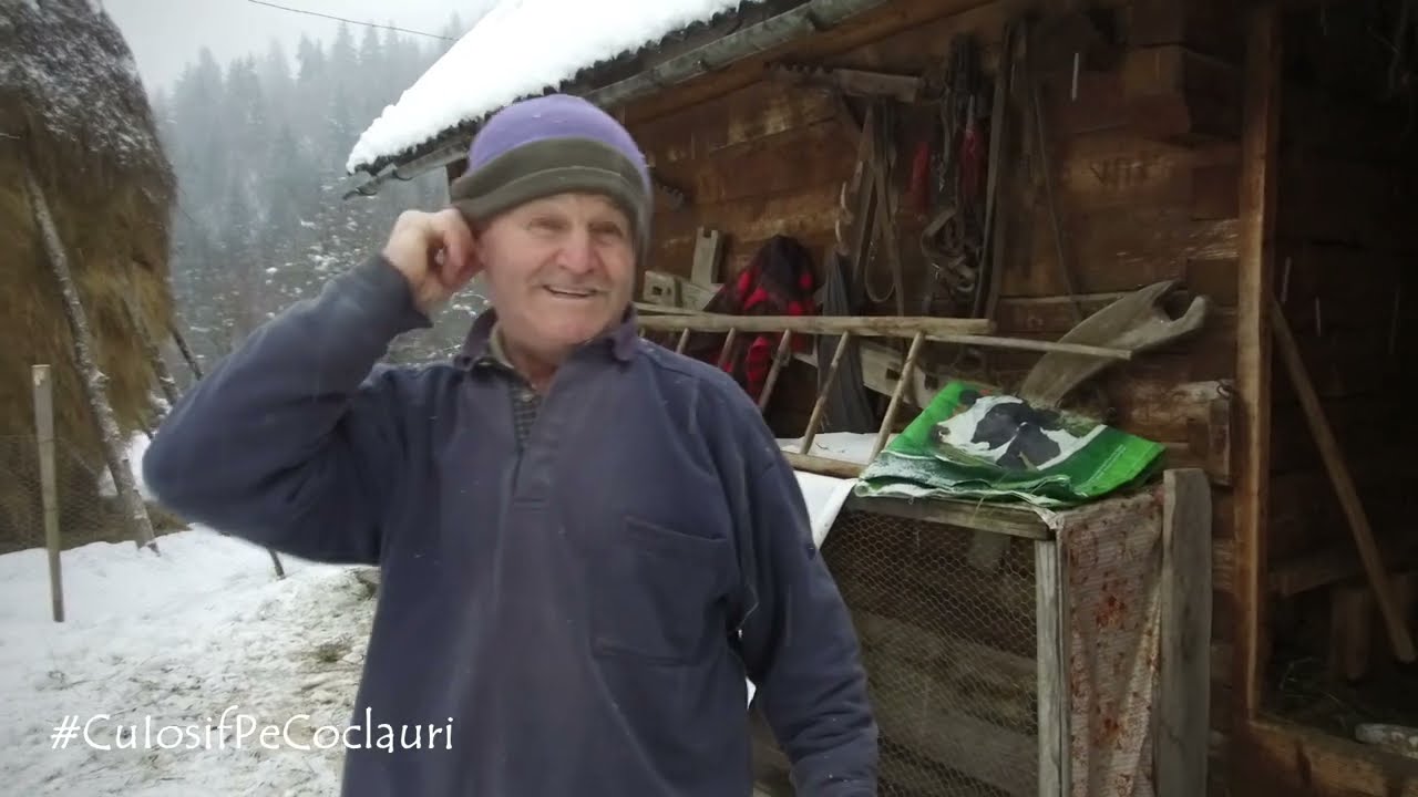 Badea Vasile Bumb, un gospodar din Țara Moților cum rar mai găsești în ziua de azi (🆕 2022)