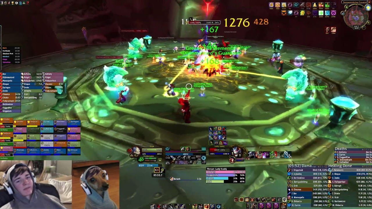 TBC Fusion Tier 5 + Gruul on BM Hunter Raid V