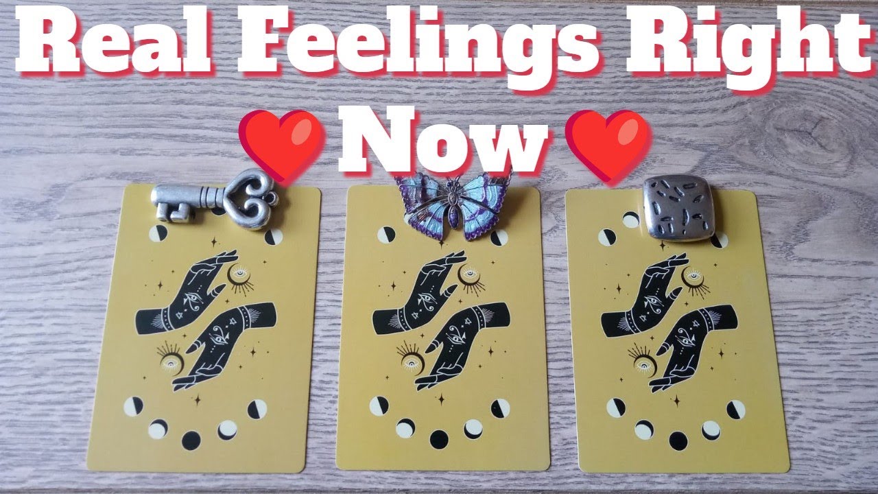 ❤️What Are Their Real Feelings for you Right Now ?❤️ Pick a Card : 🪽Timeless Tarot 🪽