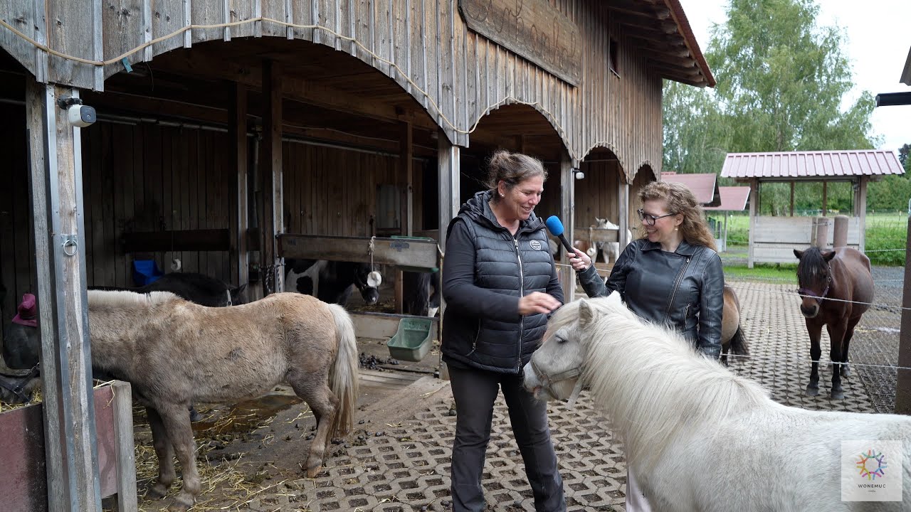 Reitschule Birkenhof - Ein Drama das das Herz berührt