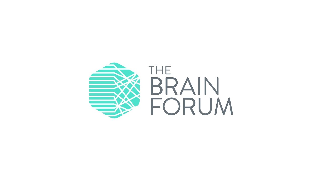 The Brain Forum 2016 overview