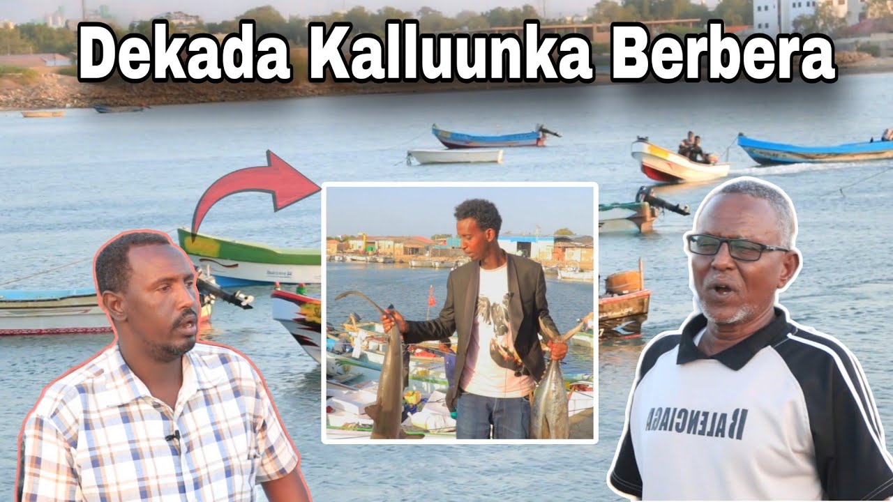 Sidee U Shaqaysa Dekada Kalluunka Ee Berbera | Marxaladaha Kalluumaystada.