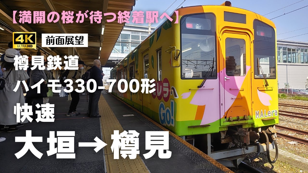 【４Ｋ前面展望】〈桜〉樽見鉄道 ハイモ３３０ー７００形 快速  大垣→樽見【満開の桜が待つ終着駅へ】