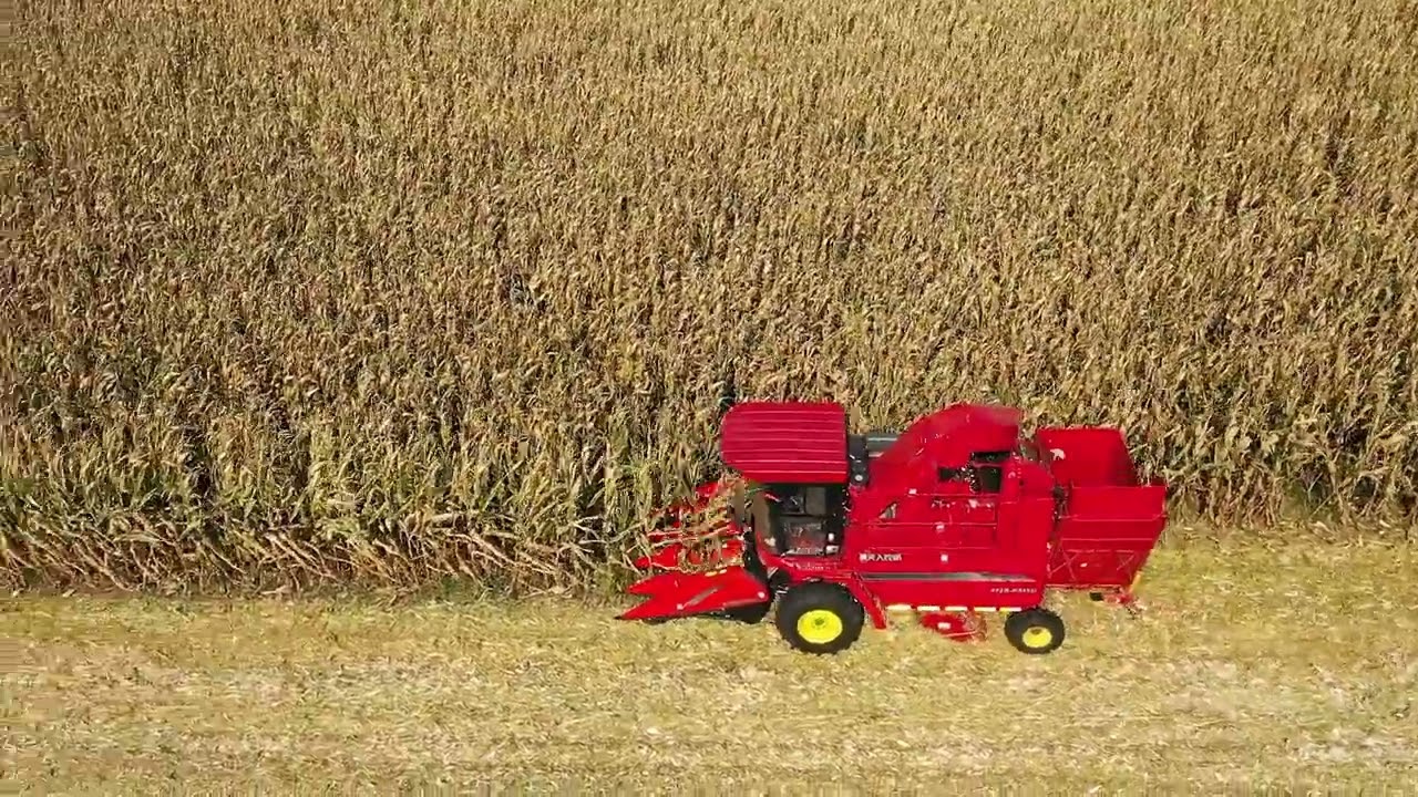 CORN HARVESTER# HARVESTER MACHINE# TIANREN CORN HARVESTER