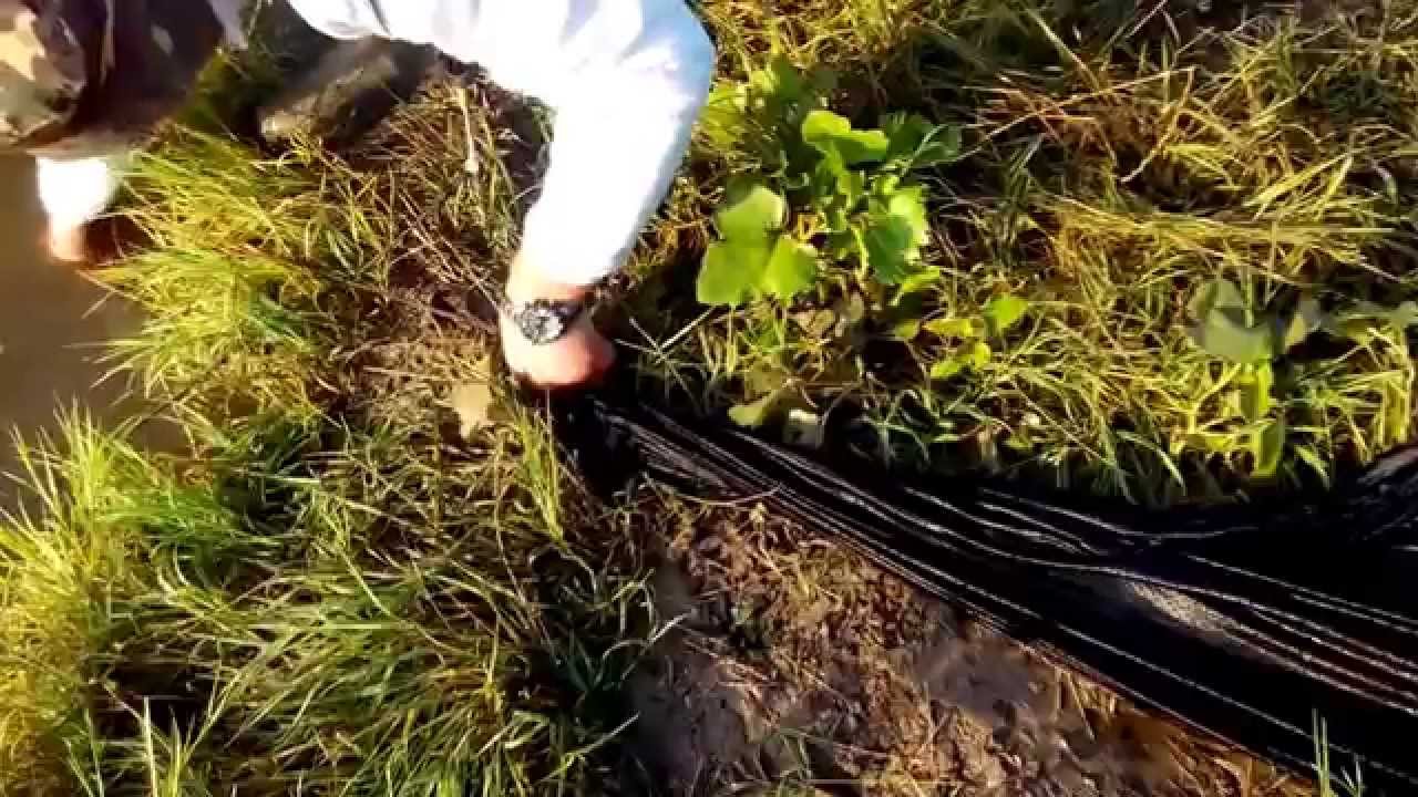 O zi de poveste pe o balta secreta!:))