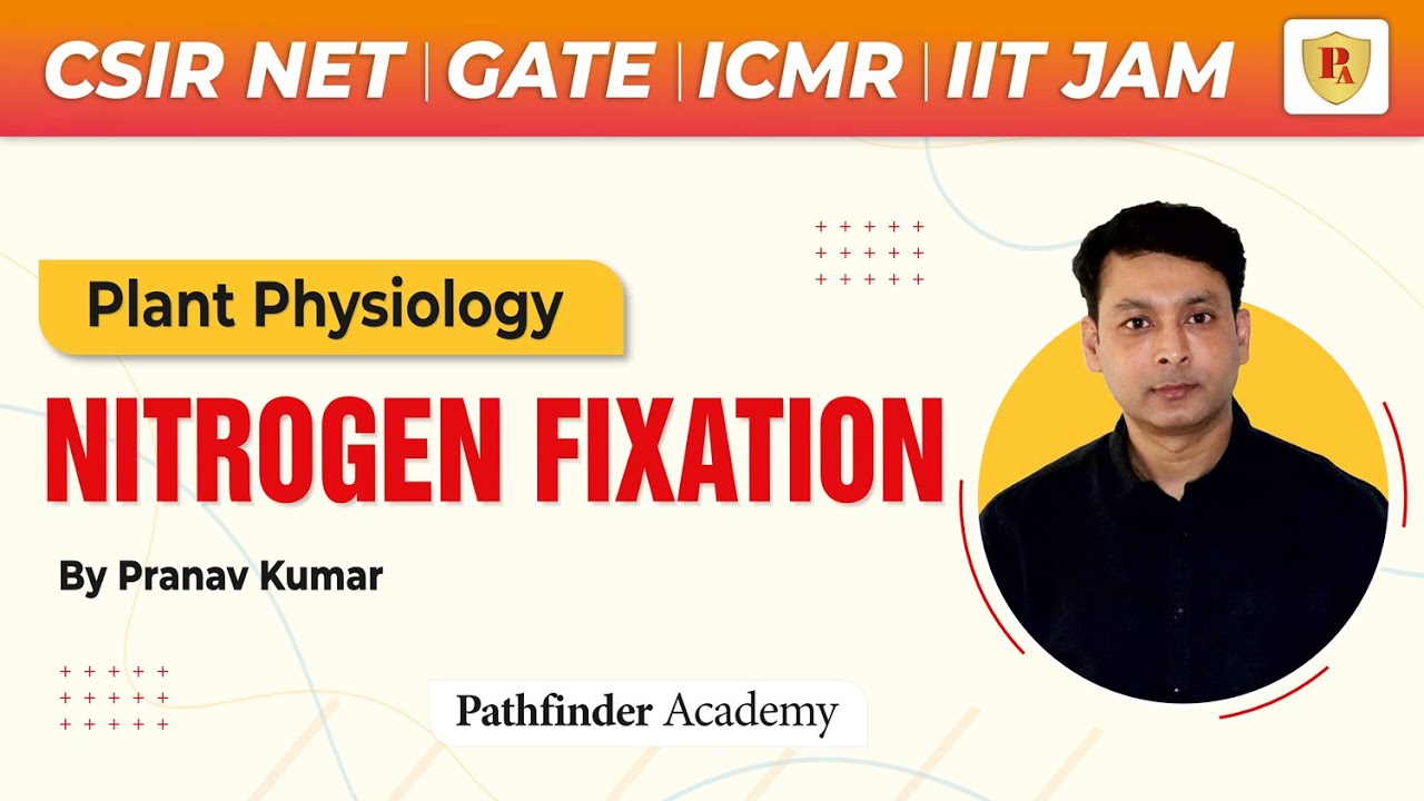 🌱 Nitrogen Fixation | Plant Physiology | Pranav Kumar | CSIR NET | GATE | ICMR | IIT-JAM | CUET-PG 🌱