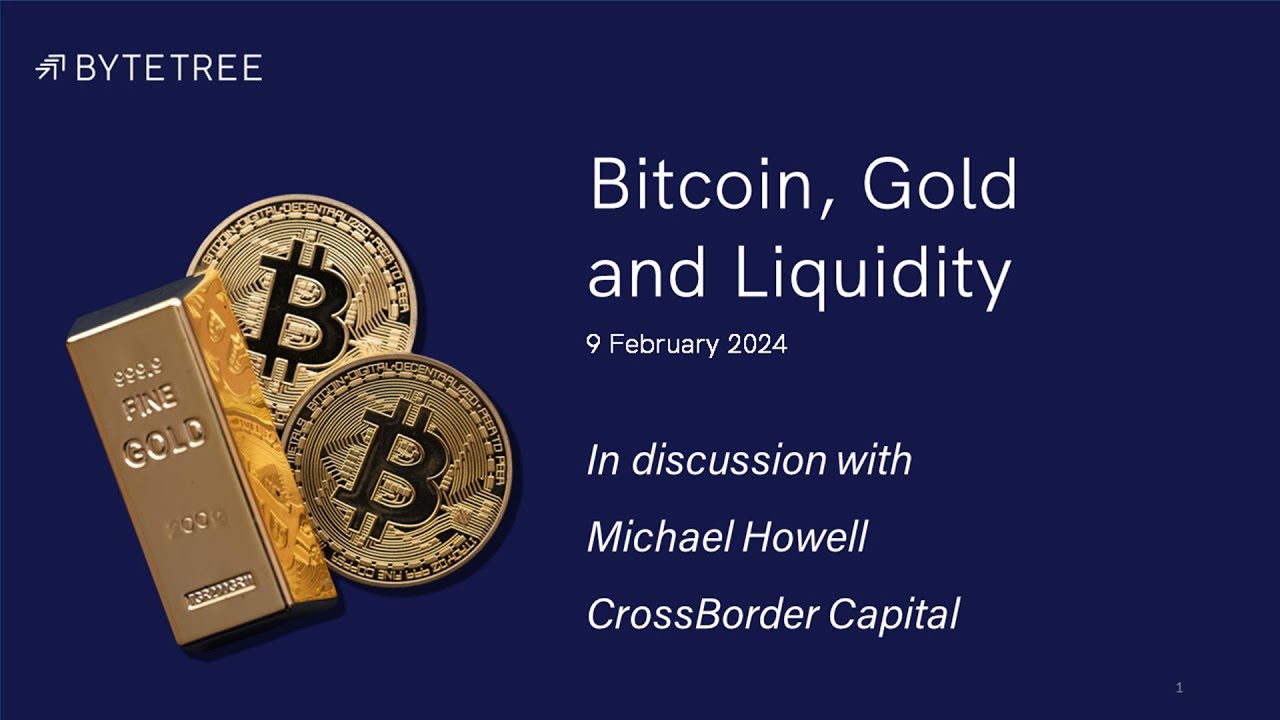 Bitcoin, Gold and Liquidity