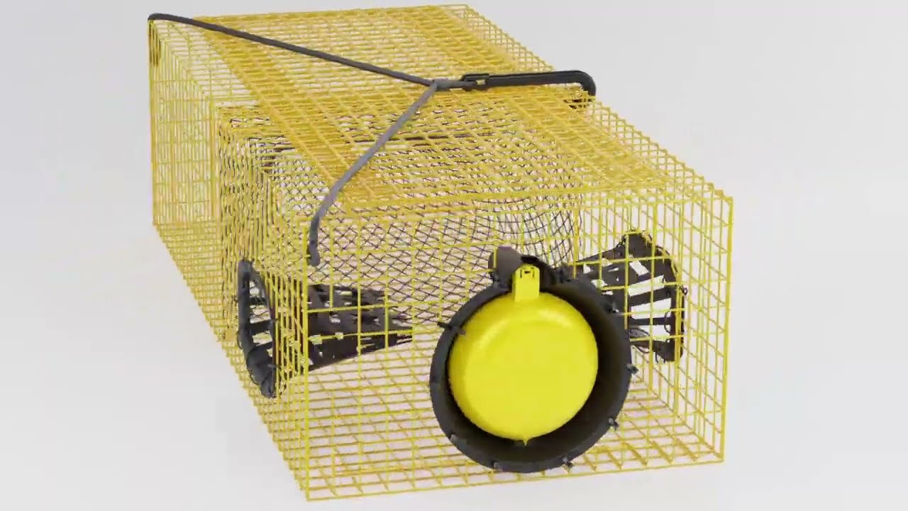 Affordable Pop-Up Buoy With Timer Release
