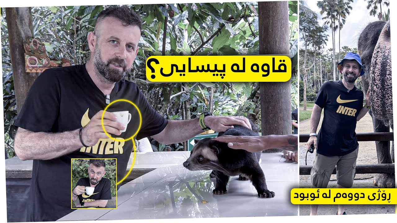 قاوە لە پیسایی؟!!