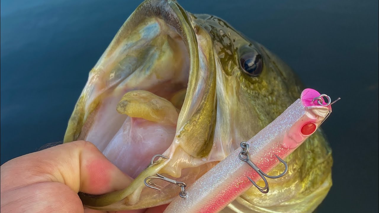Evening Shower Blows Topwater/Chatterbait BASS FISHING #largemouthbass #michigan #bassfishing
