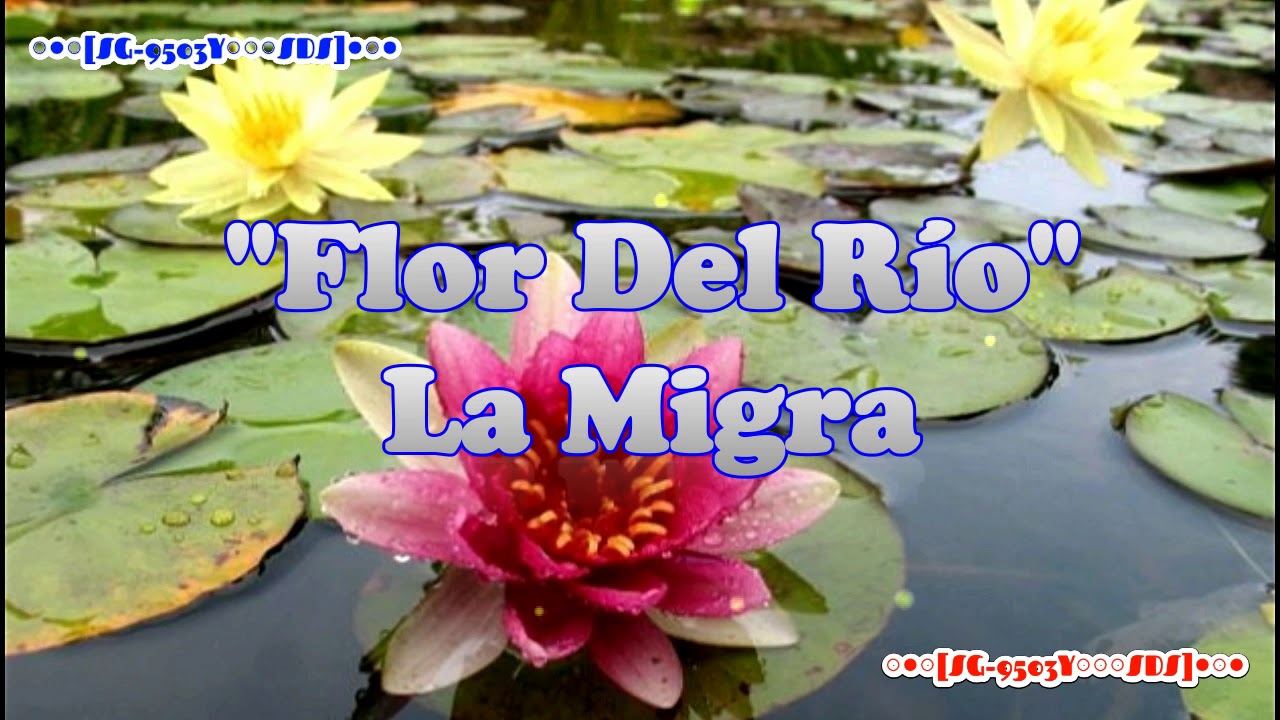 Flor Del Rio - La Migra (Letra) HD [A3]