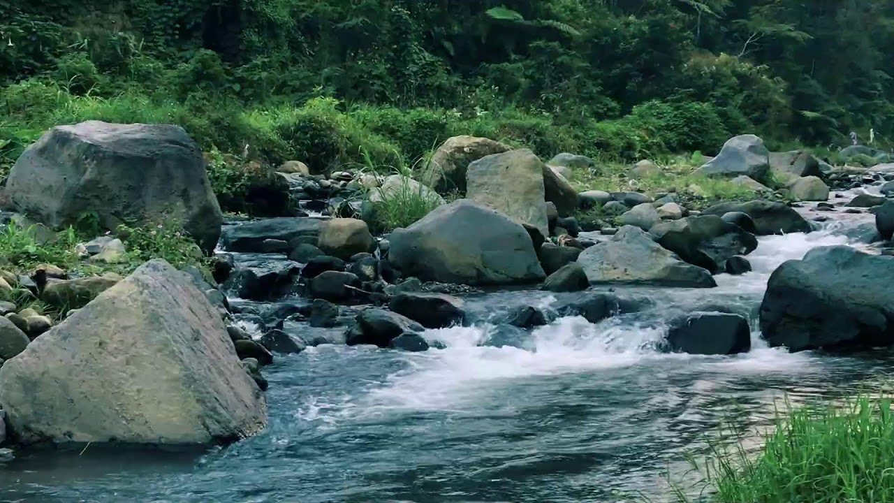 Natural Green Stream Flow White Noise | For Mental Focus & Tension Release