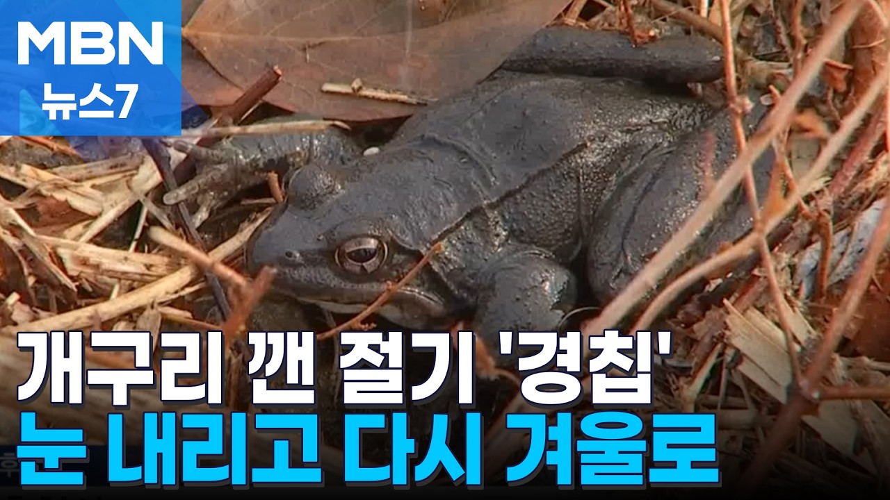 개구리 겨울잠 깬 '경칩'&hellip;눈 내리고 다시 겨울로 [MBN 뉴스7]
