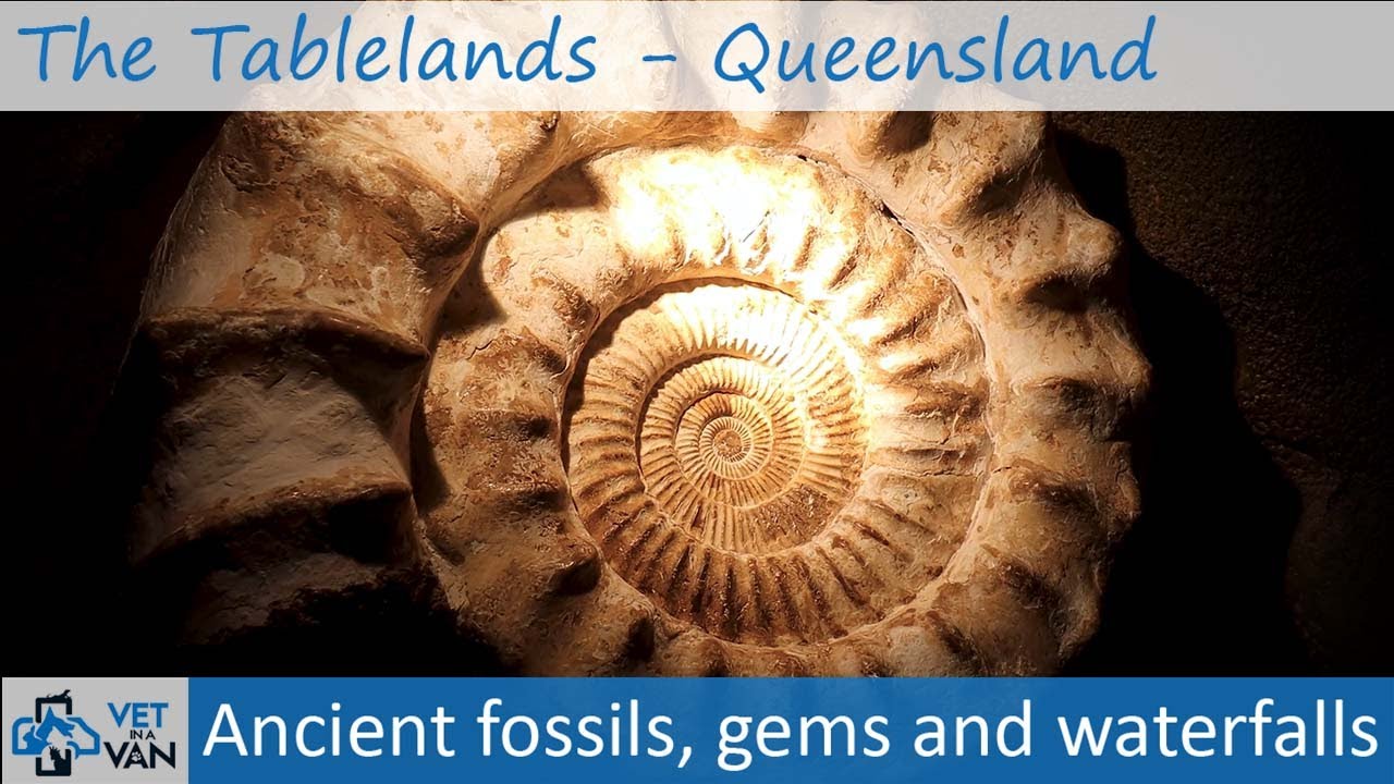 The Tablelands | Atherton's Gems and Waterfalls