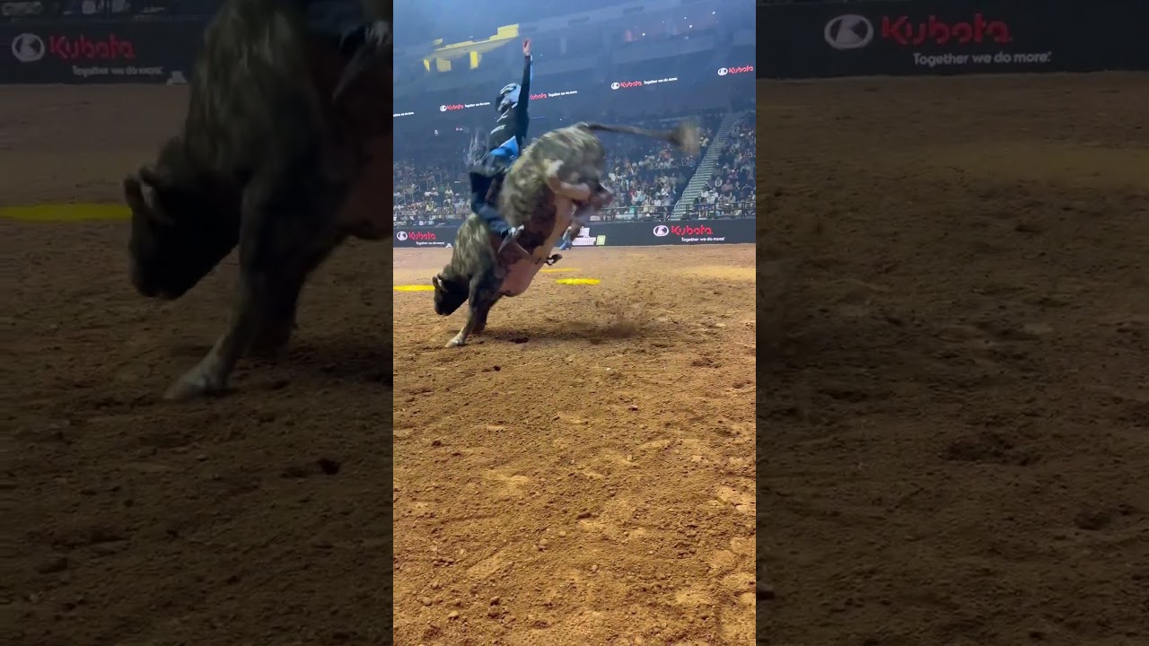 Sage Kimzey on Punchy Pete for 90 pts in PBR Team Series Duluth, GA 📸 Alison Wilkins  #bullriding