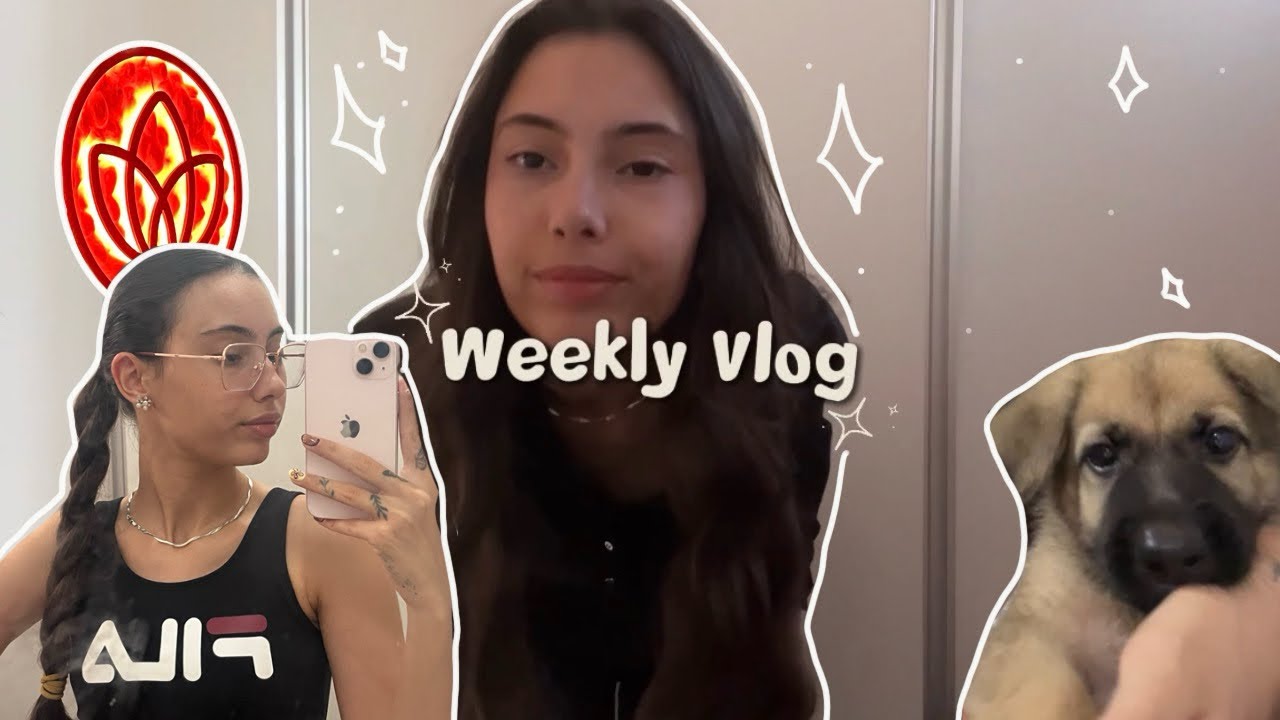 1° semana de estágio, novo membro da família e hot yoga | Merlicore