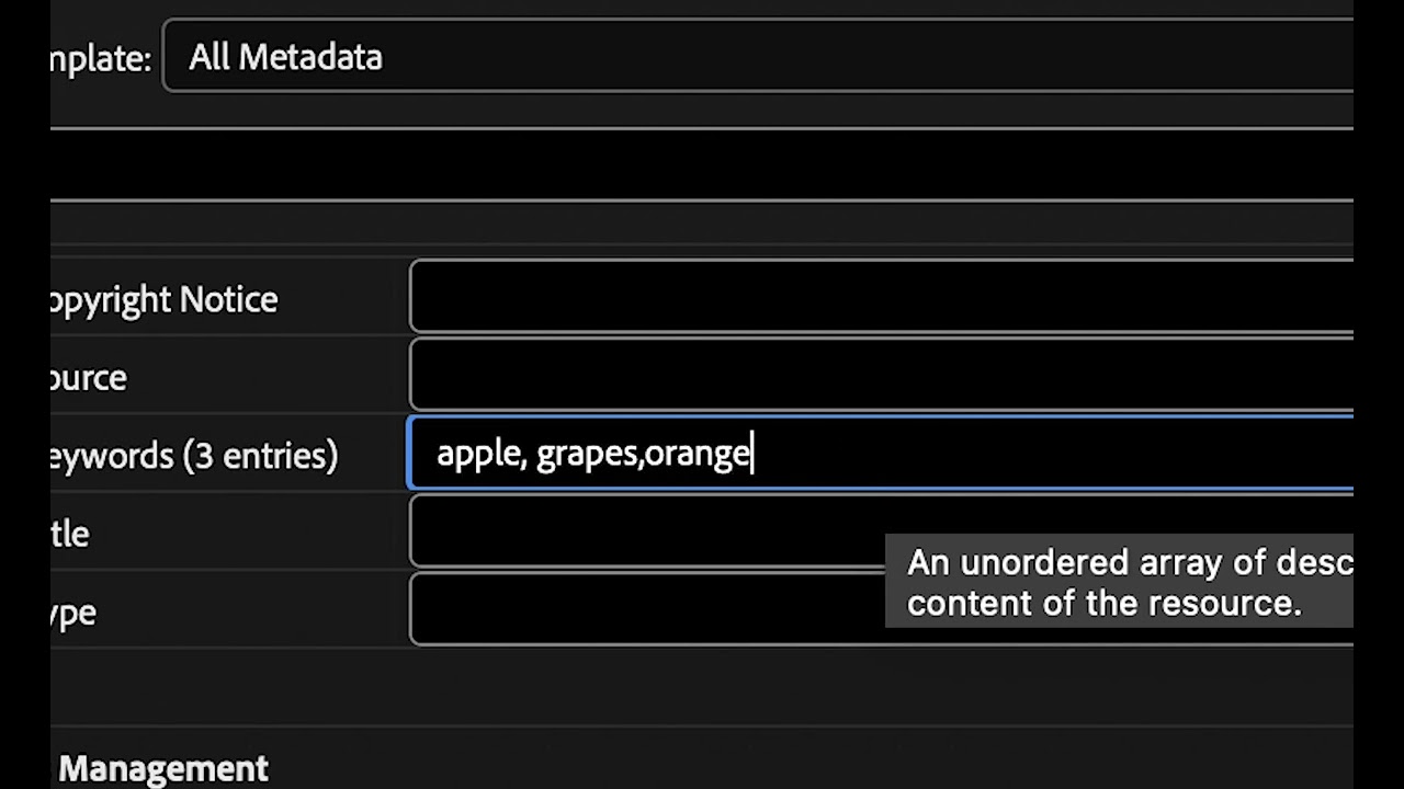 How to Add and Change Metadata using Media Encoder and Bridge